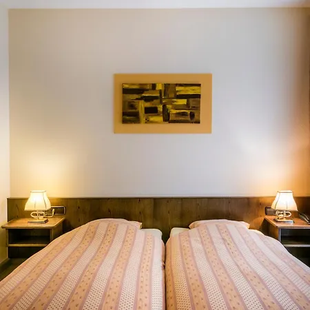 Restaurant Le Cigalon Otel 4*