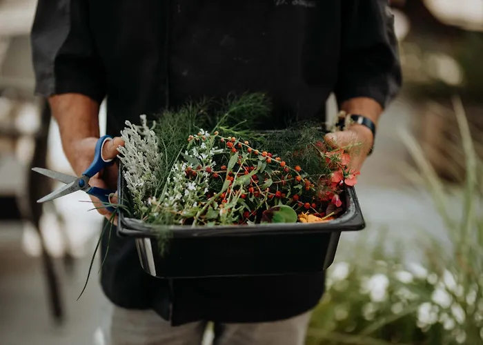 Restaurant Le Cigalon Otel