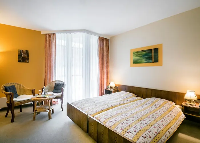 Restaurant Le Cigalon Otel 4*