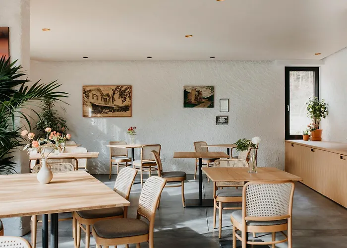 Otel Restaurant Le Cigalon