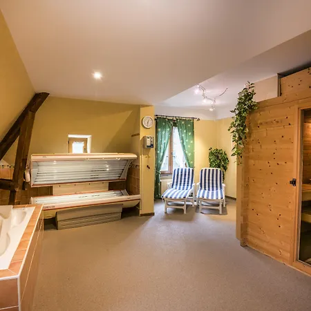 Restaurant Le Cigalon 4*