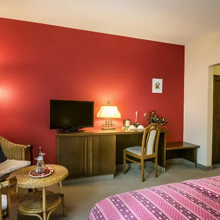 Hotel Restaurant Le Cigalon 4*