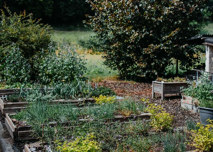 Restaurant Le Cigalon Hotel