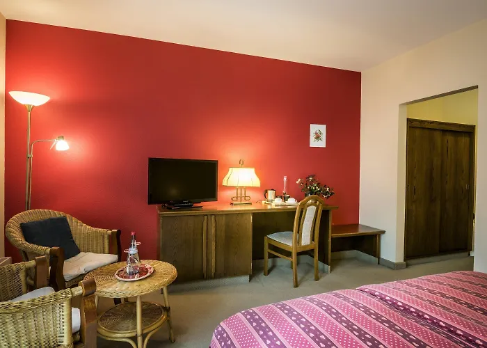 Hotel Restaurant Le Cigalon 4*