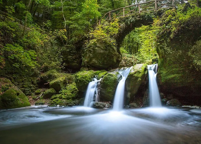 Hotel Restaurant Le Cigalon